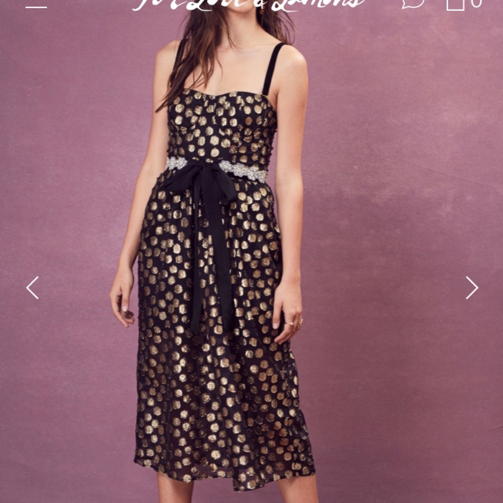 For love and lemons Bardot dress